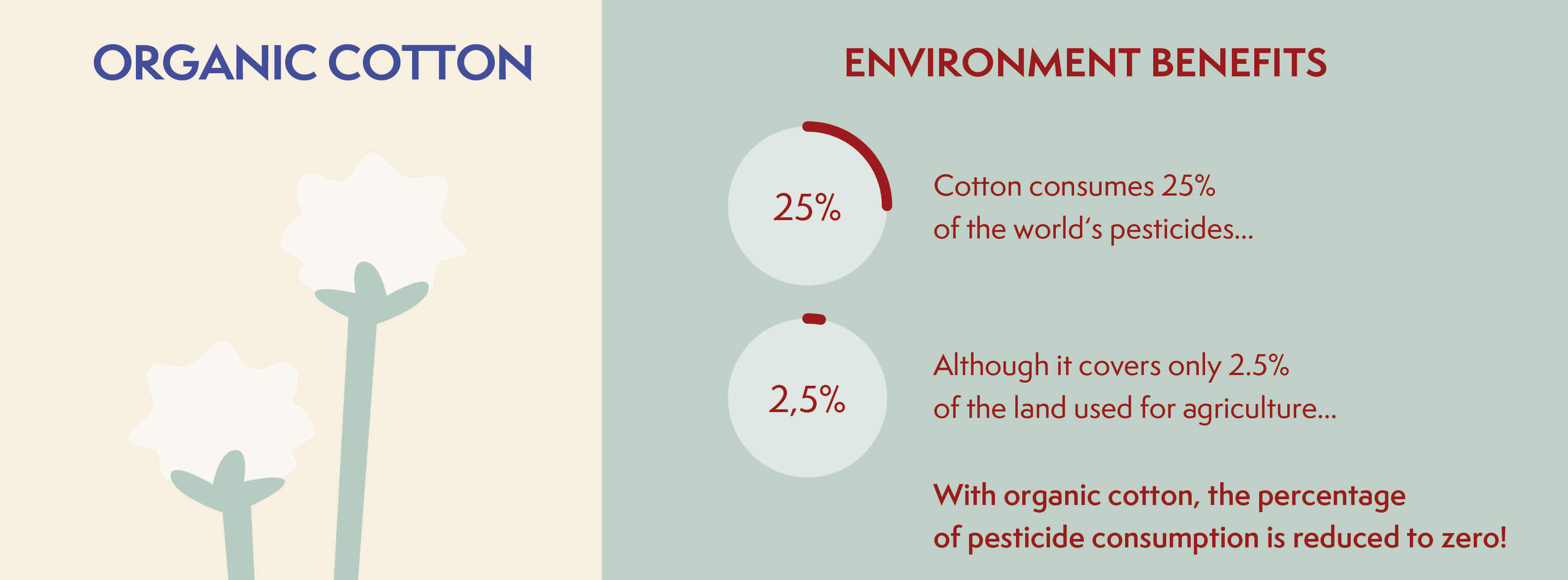 Discover the benefits of organic cotton clothing