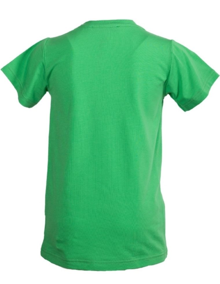 Ben T-Shirt verde in Eucalipto