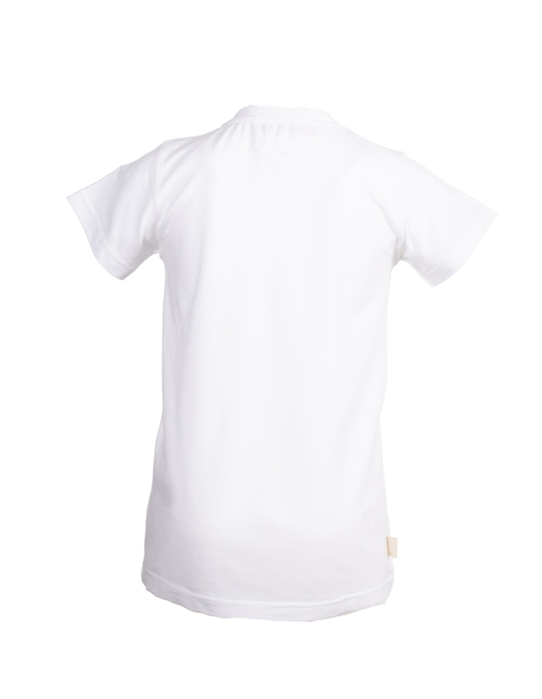 Ben T-shirt in Eucalipto