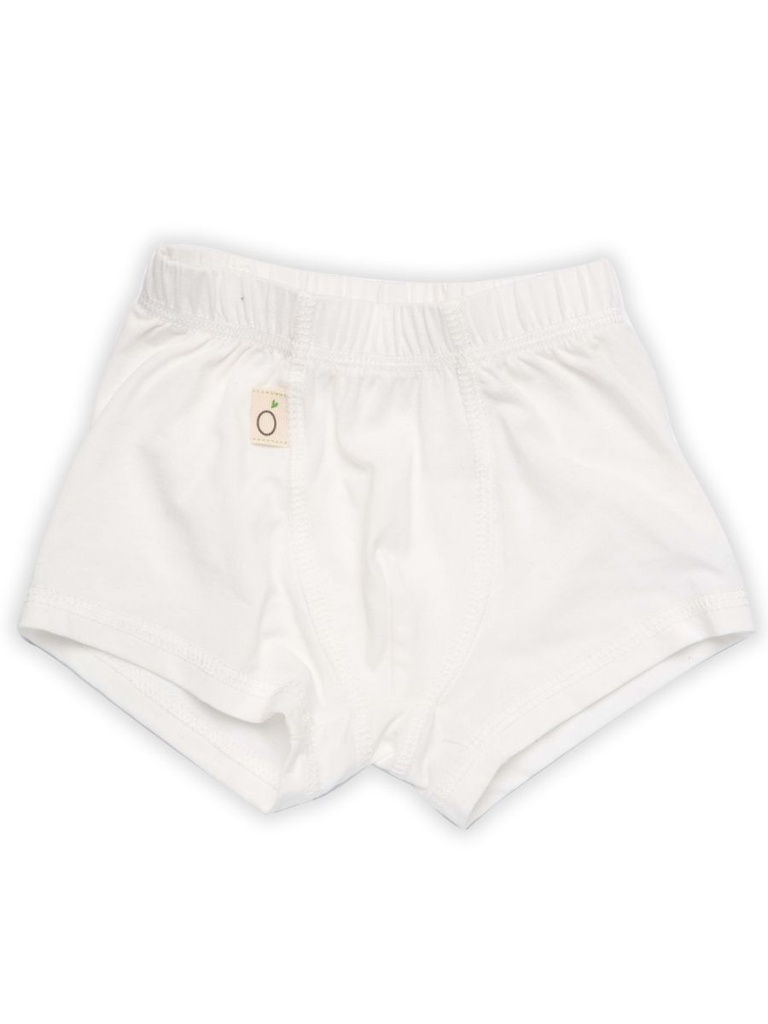 Bode Boxer Shorts in Tencel