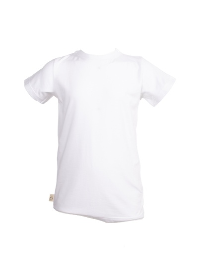 [KBTS005-020000] Ben Organic T-Shirt Eucalyptus